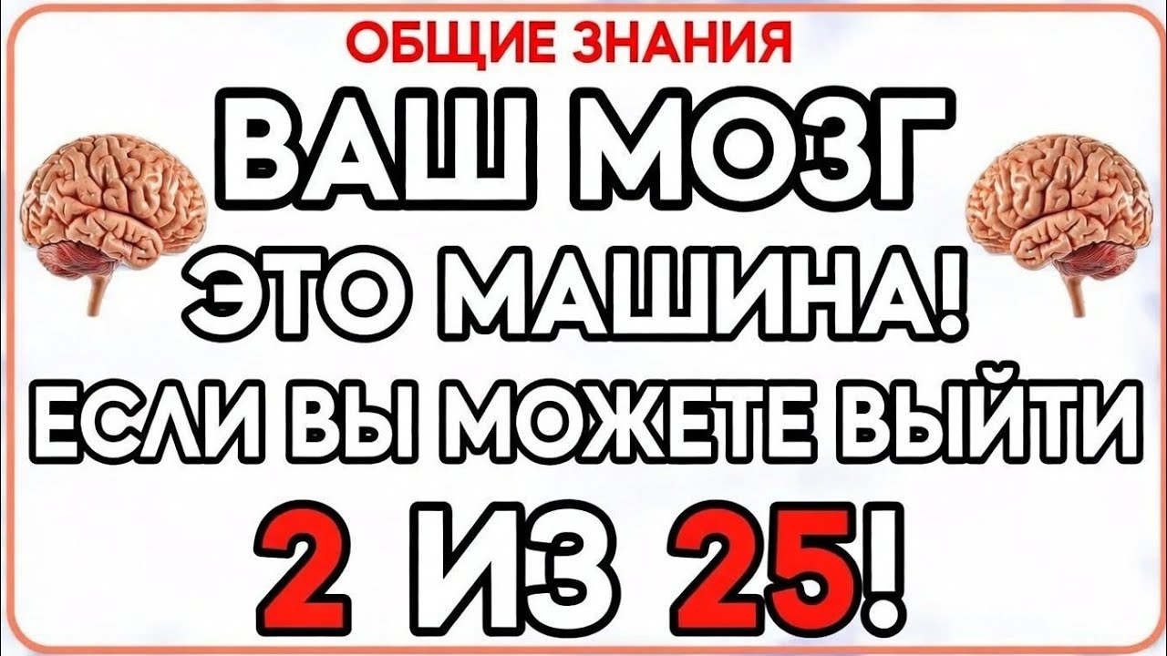 Твой мозг — это машина, если ты наберёшь 2 из 25! 🧠
