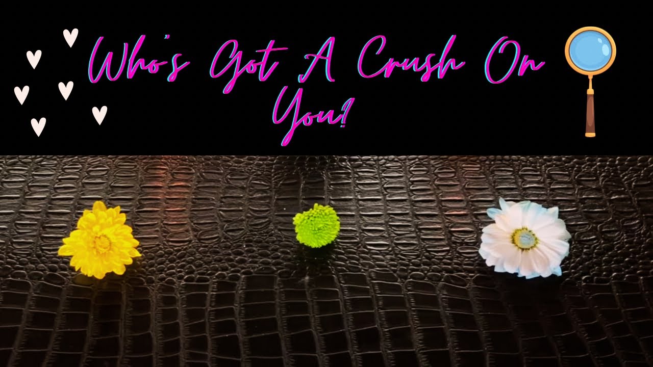 Pick A Card 🔮 Intuitive FLOWER Reading • WHO Has A SECRET Crush 💕🍭On YOU And WHY?🫣
