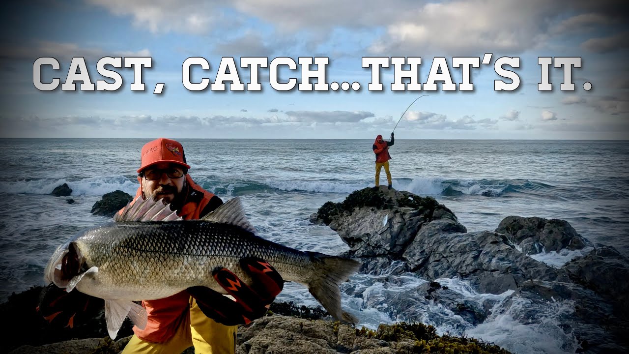 Cast,Catch&hellip;That&rsquo;s IT | Sea Bass Lure Fishing | Out For A Cast #seabassfishing
