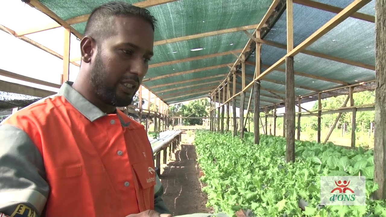Sachin Autar - Winnaar Award 2018 - 'Duurzaamste mkb-lanbouwbedrijf 2018 in Suriname'