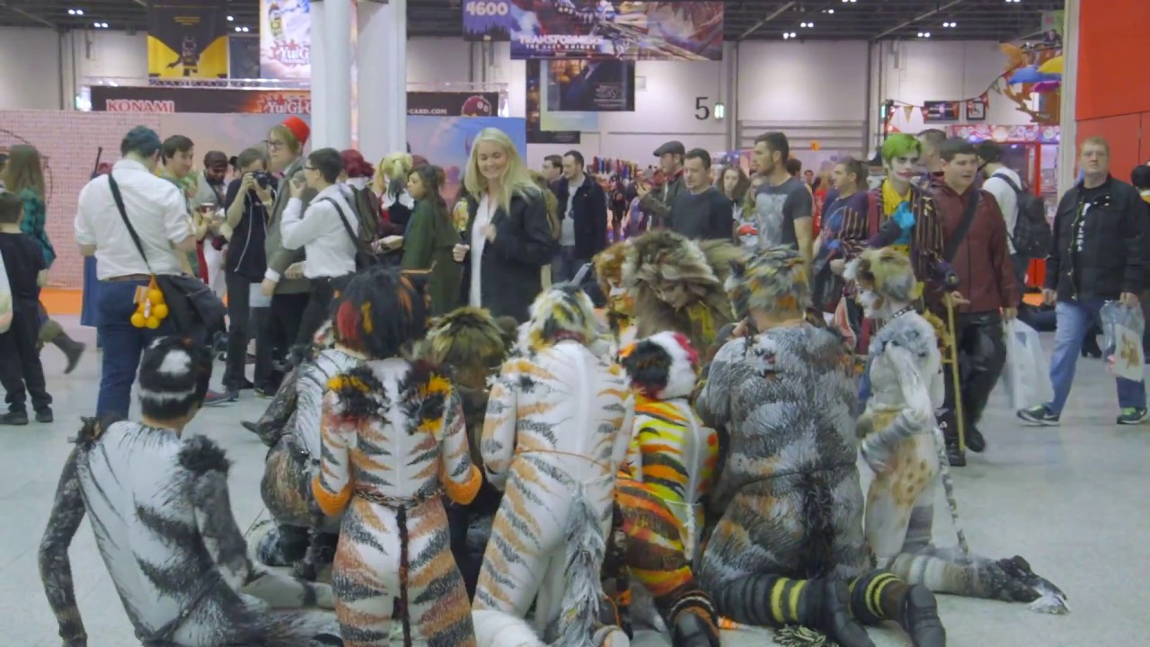 Cats Flash Mob!