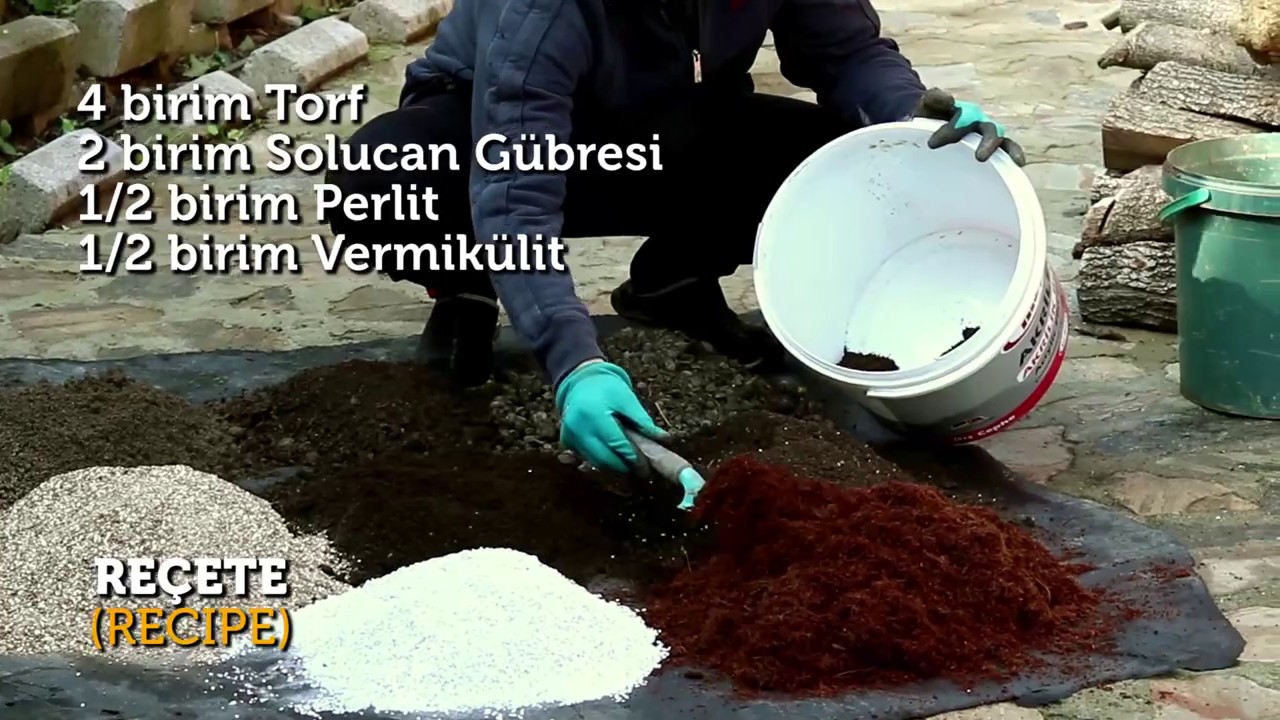 Fide Yetiştirme Toprağı Hazırlama