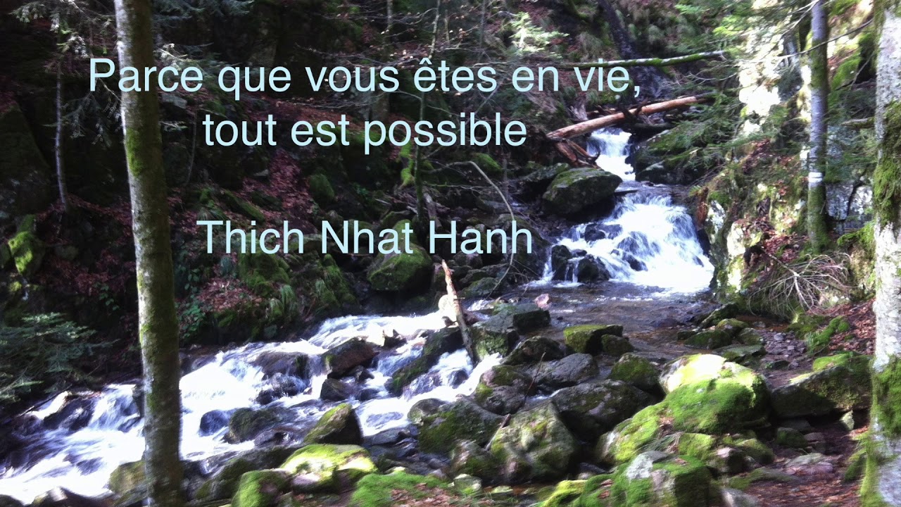 Conscience du corps