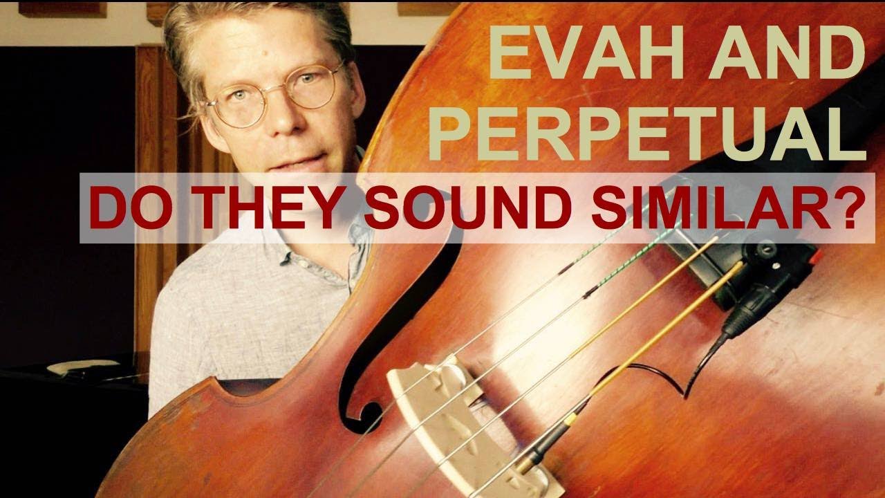 Do Pirastro's Evah Pirazzi and Perpetual Bass Strings Sound Similar?