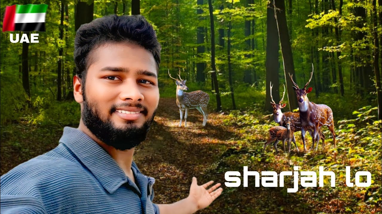 Wasit Wetland Centre✨️ endless nature 🌳In telugu in UAE 🇦🇪 2025 