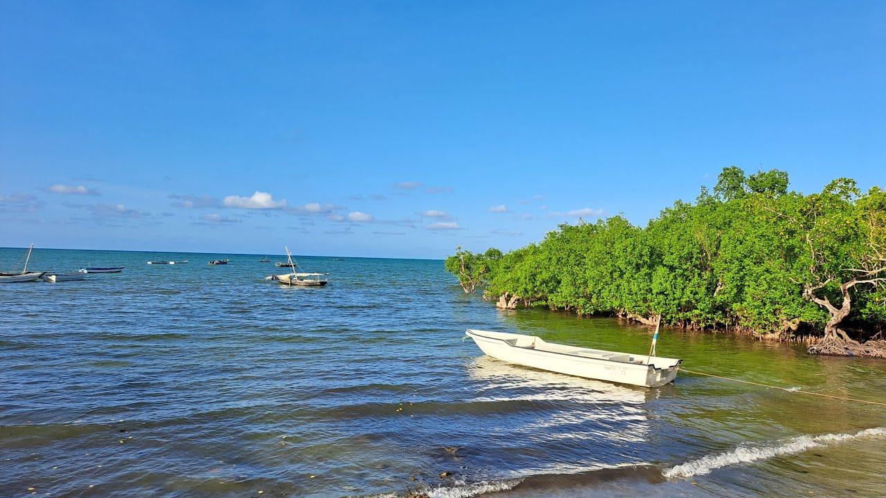 🔥VIWANJA KIGAMBONI-TUANGOMA 🇹🇿 BEI IMEPOA ZAIDI!