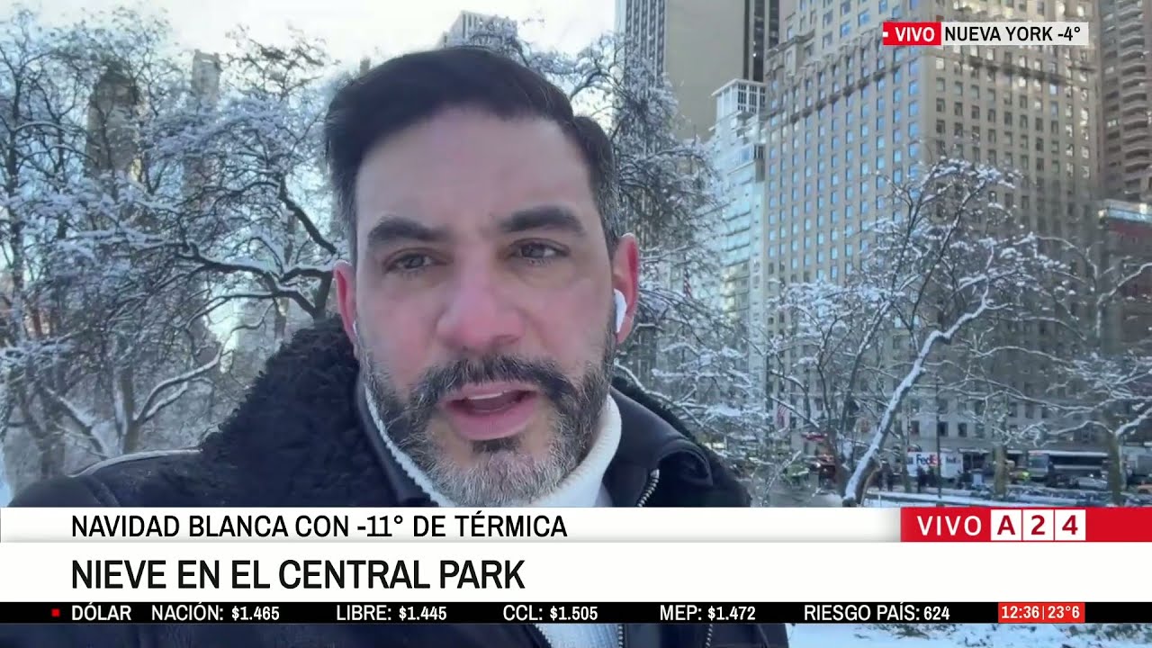 NUEVA YORK:  NEVADA HISTÓRICA EN EL CENTRAL PARK