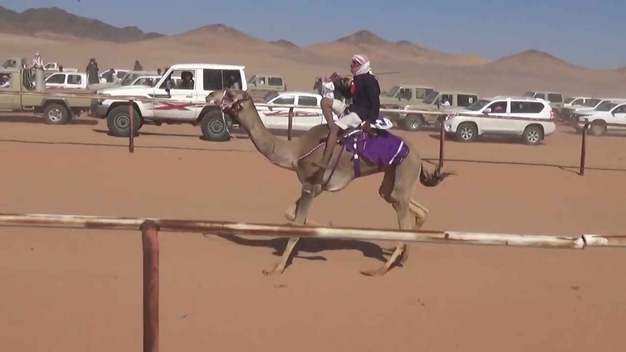 شوط الماراثون ٨كم (شعيلان) لـ محمد عطيه المسعودي ١٤٤٣/٨/٢٢