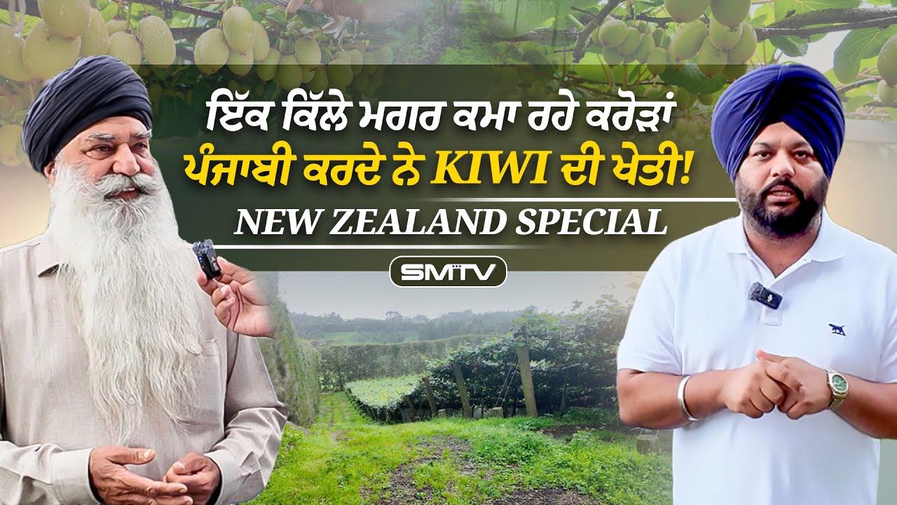 ਇੱਕ ਕਿੱਲੇ ਮਗਰ ਕਮਾ ਰਹੇ ਕਰੋੜਾਂ, ਪੰਜਾਬੀ ਕਰਦੇ ਨੇ Kiwi ਦੀ ਖੇਤੀ! New Zealand Special