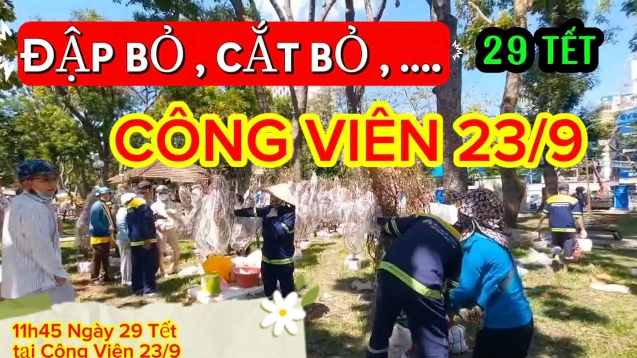TẠI CÔNG VIÊN 23/9 thời điểm 11h45 Ngày 29 Tết . Những cây đào còn lại Cắt bỏ và đập bỏ đi .