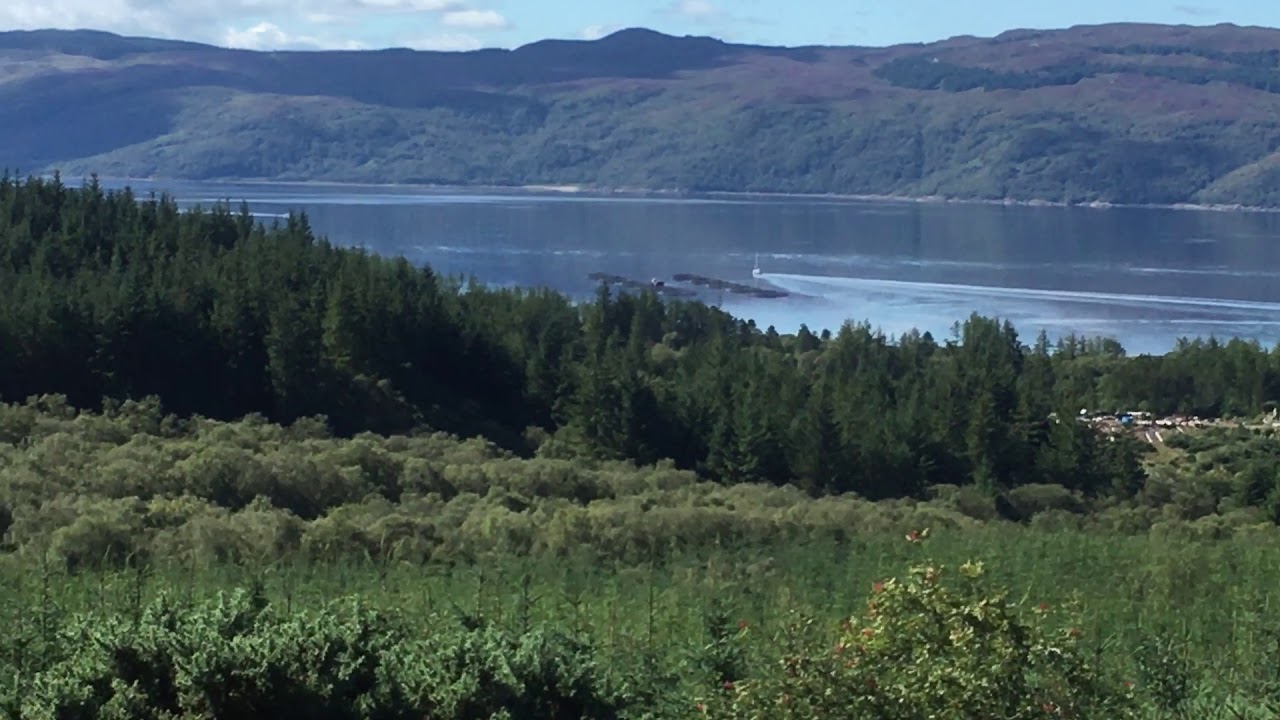 Loch Fyne and The Cowal Way