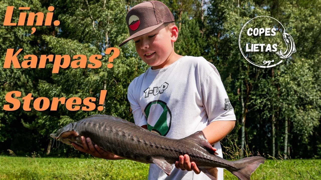 CopesLietasS1E10 Saulgriežu cope. Līņi. Karpas? Stores!