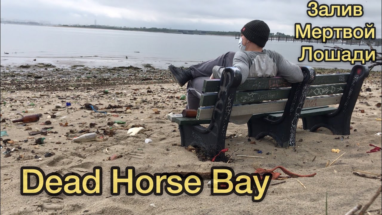 Dead Horse Bay. Залив мертвой лошади. Самое грязное место Нью-Йорка. Это невероятно!
