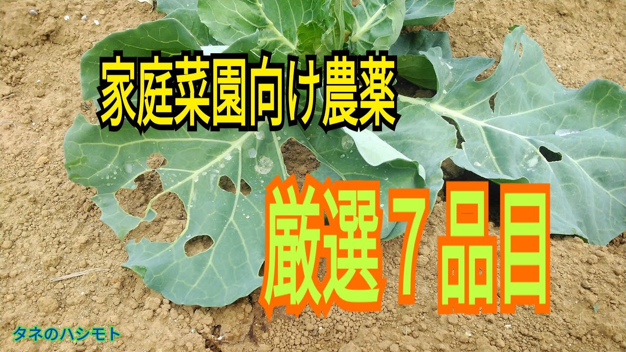 ＜家庭菜園向け＞農薬の使い方　殺虫剤編　　タネのハシモト