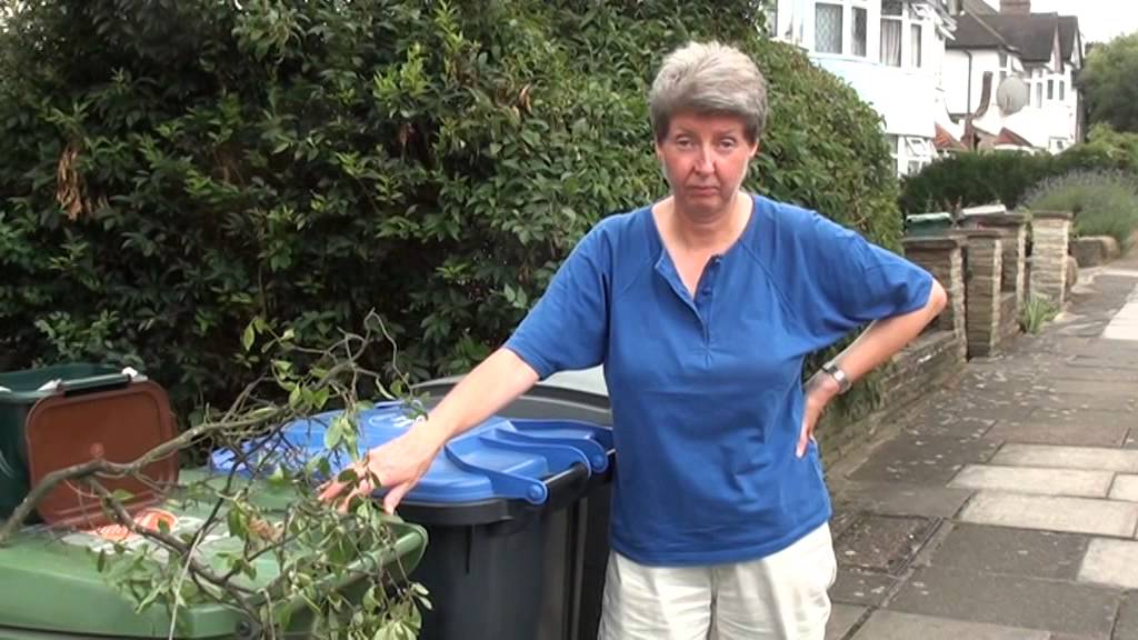 Brent's proposed changes to recycling and green waste collections from March 2015