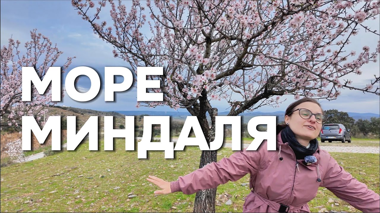 Море миндаля - Ещё один тревел блог