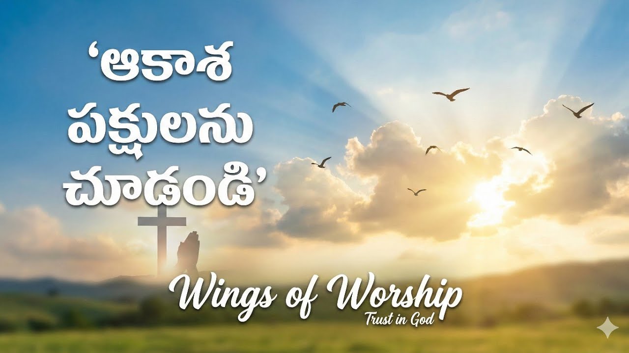 ఆకాశ పక్షులను చూడండి – Bible Promise Song (Do Not Worry)