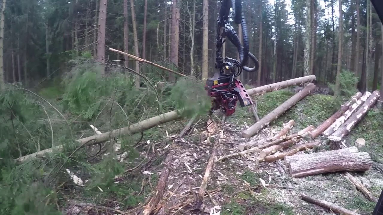 Neuson Forest 243 HVT  Nov 17