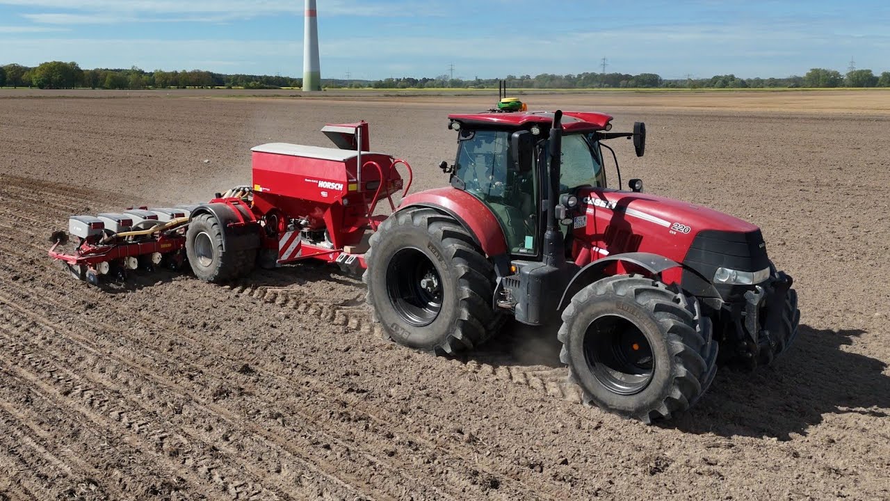 CASE PUMA 220 mit HORSCH MAESTRO 12.45 CC / Mais legen 2024 / 4K