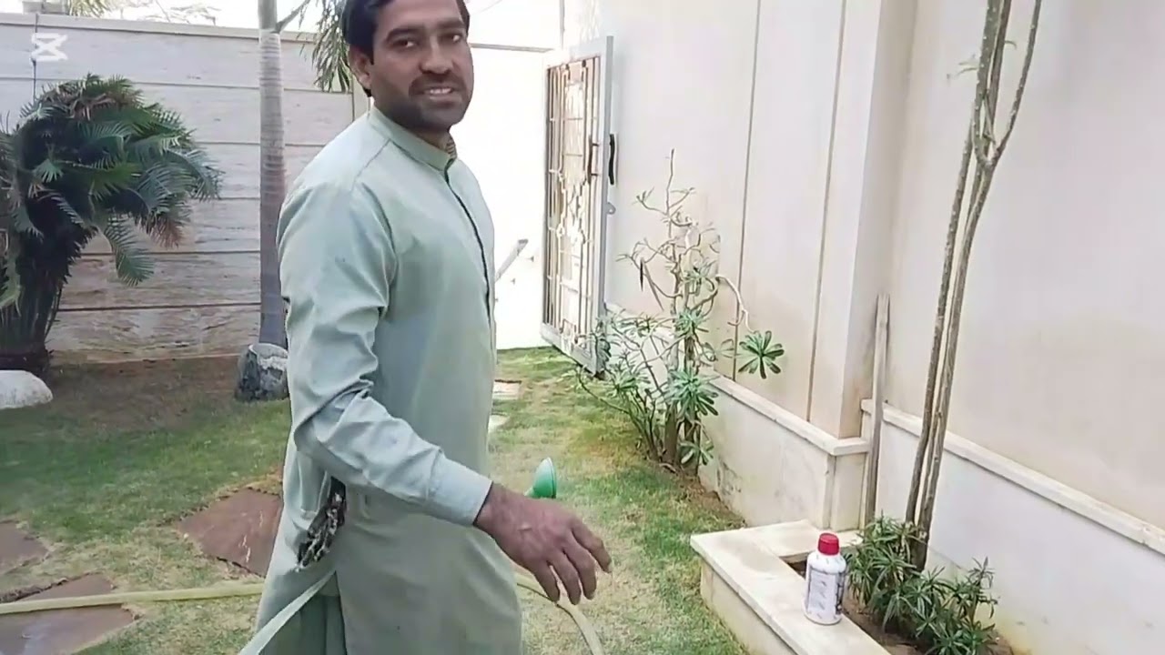   garas mein dawai lagane ka tarika dekhen#