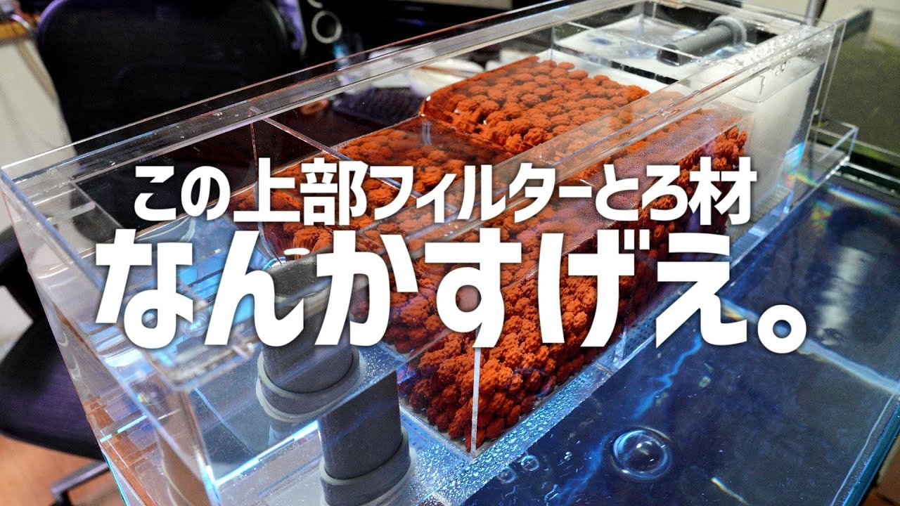 大容量,透明,ガラス水槽設置可の上部フィルター&生物,吸着,化学ろ過3つを兼ね備えたろ材を紹介。#299【アクアリウム】