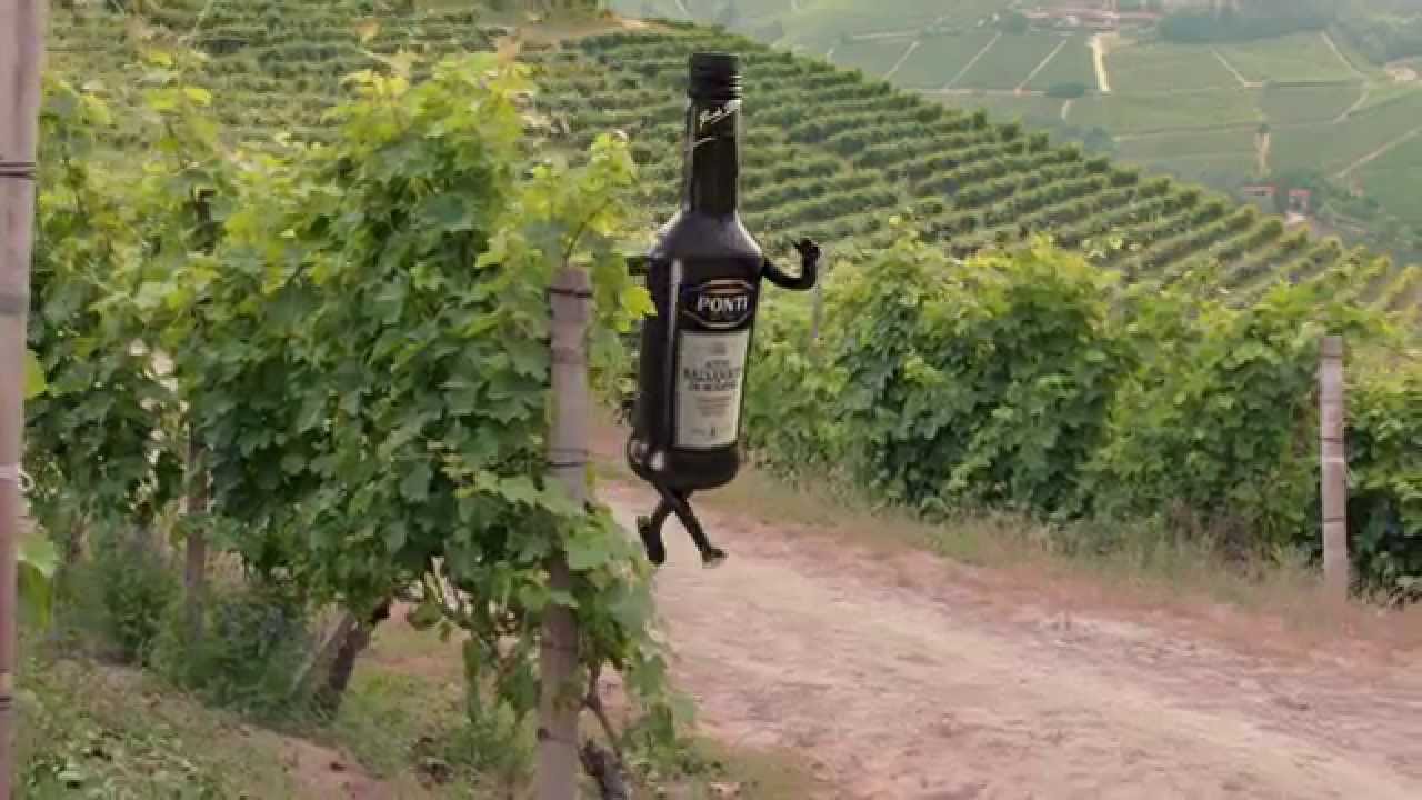 Aceto Balsamico di Modena I.G.P. Ponti