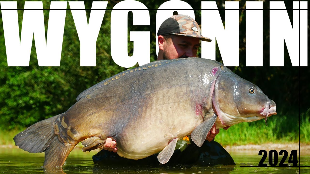 ZŁOWIŁEM NAJSTARSZEGO KARPIA Z WYGONINA