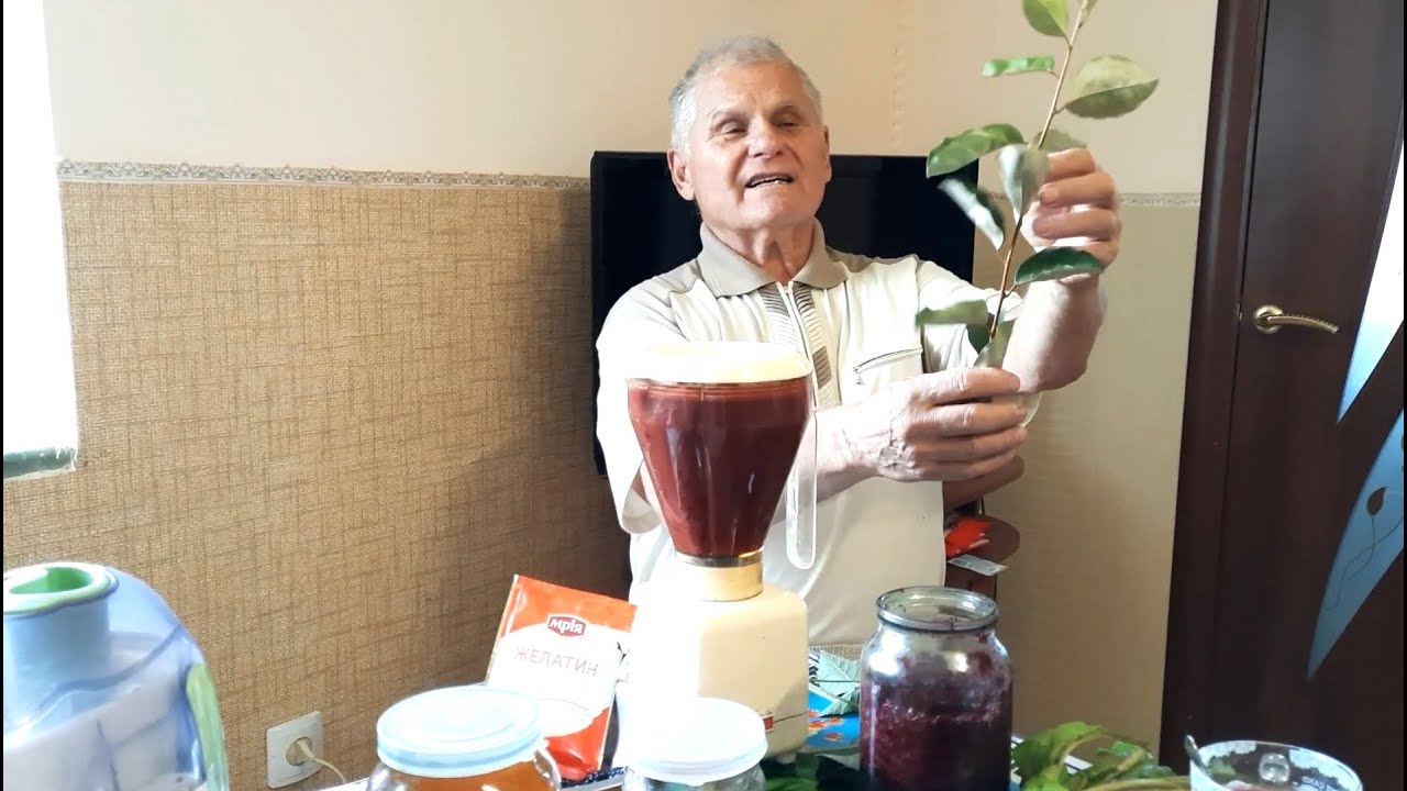 Заготовка Ежевики на зиму