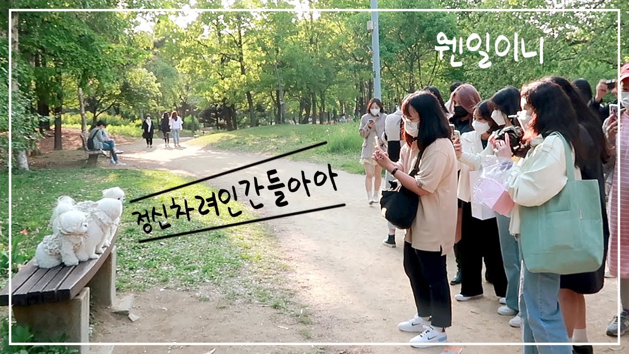 강아지를 서울숲에 데려가면 생기는 일 💦