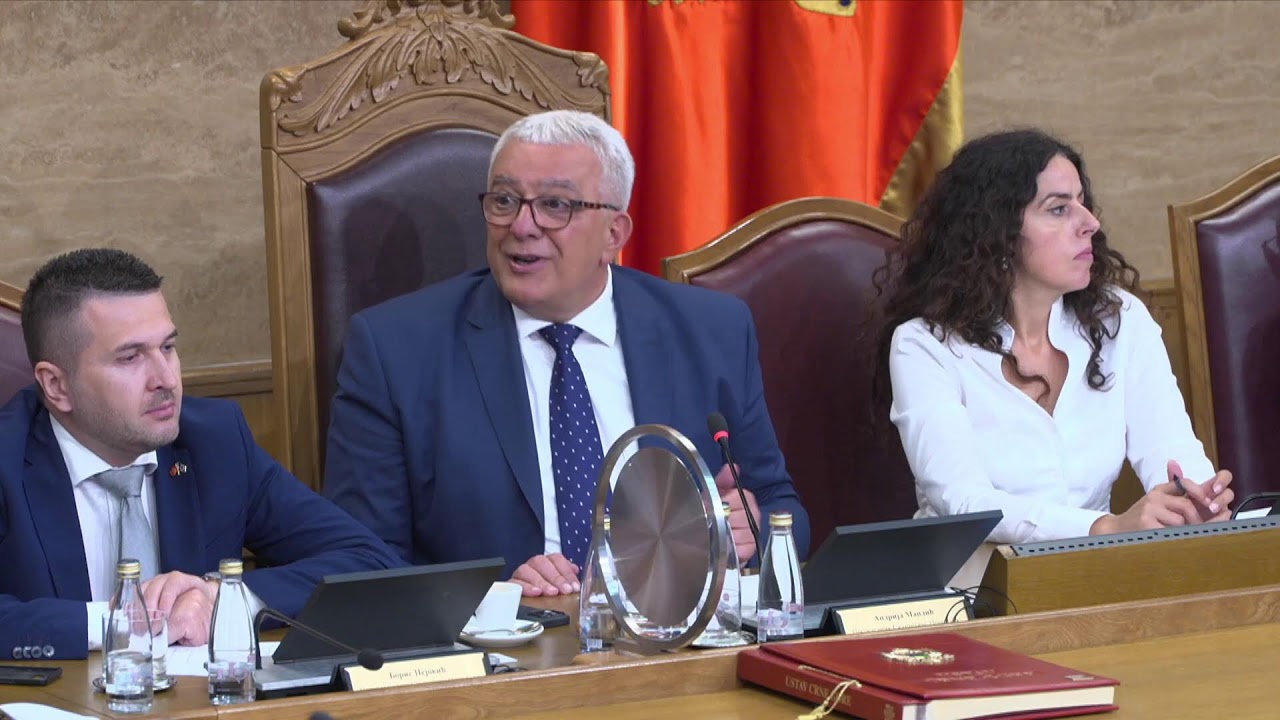 Nastavak Devete sjednice Prvog redovnog zasijedanja u 2024. godini - četvrti dan, 09.07.2024.