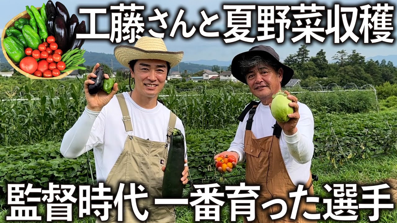 【大豊作】工藤公康さんと夏野菜を収穫。監督時代に一番育った選手を聞いてみたら納得の答えが返って来ました。