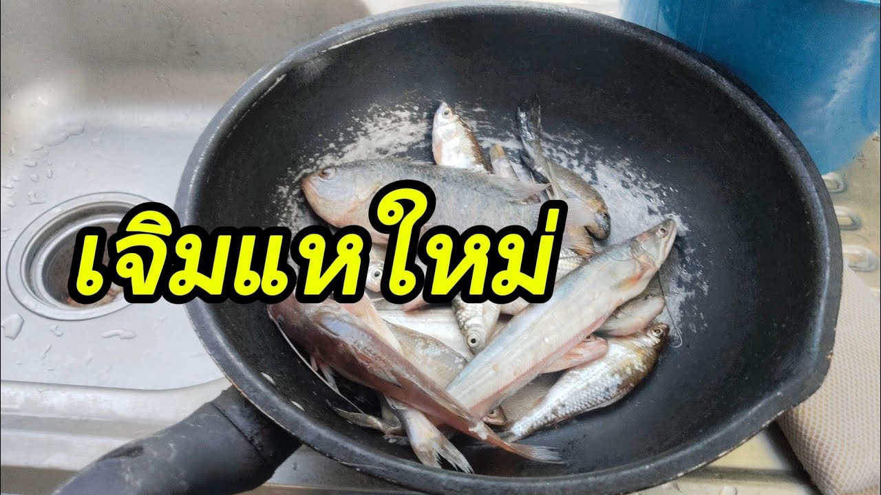 ประเดิมแหผืนใหม่ มื้อแรกแฮกหมาน!!