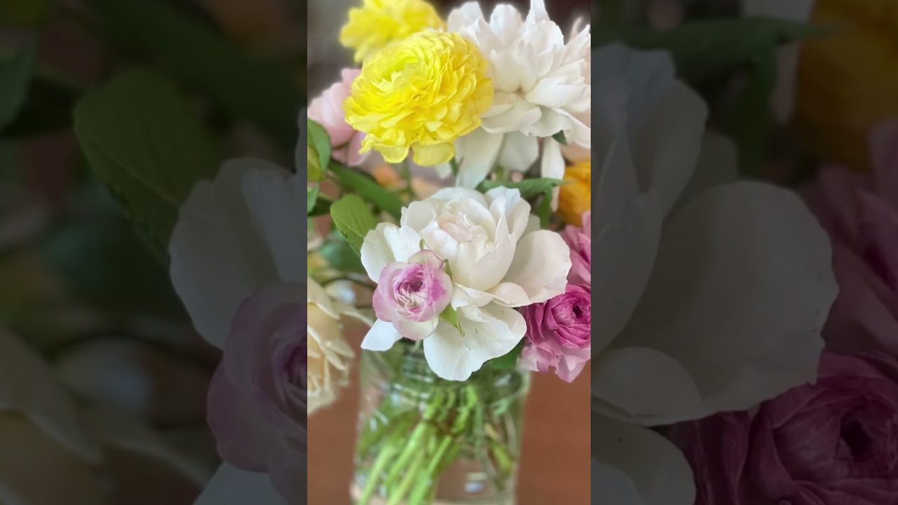 What Blooms in June?  #gardening #beginnersgardening #gardening101 #gardeningbasics #garden