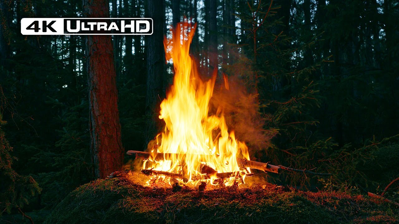 4K Костер в тёмном лесу 🌛 Успокаивающие звуки природы — без ИИ