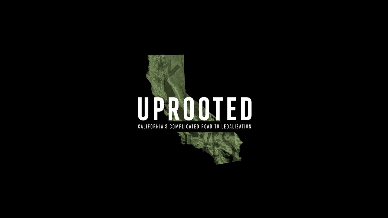Uprooted | Official Trailer