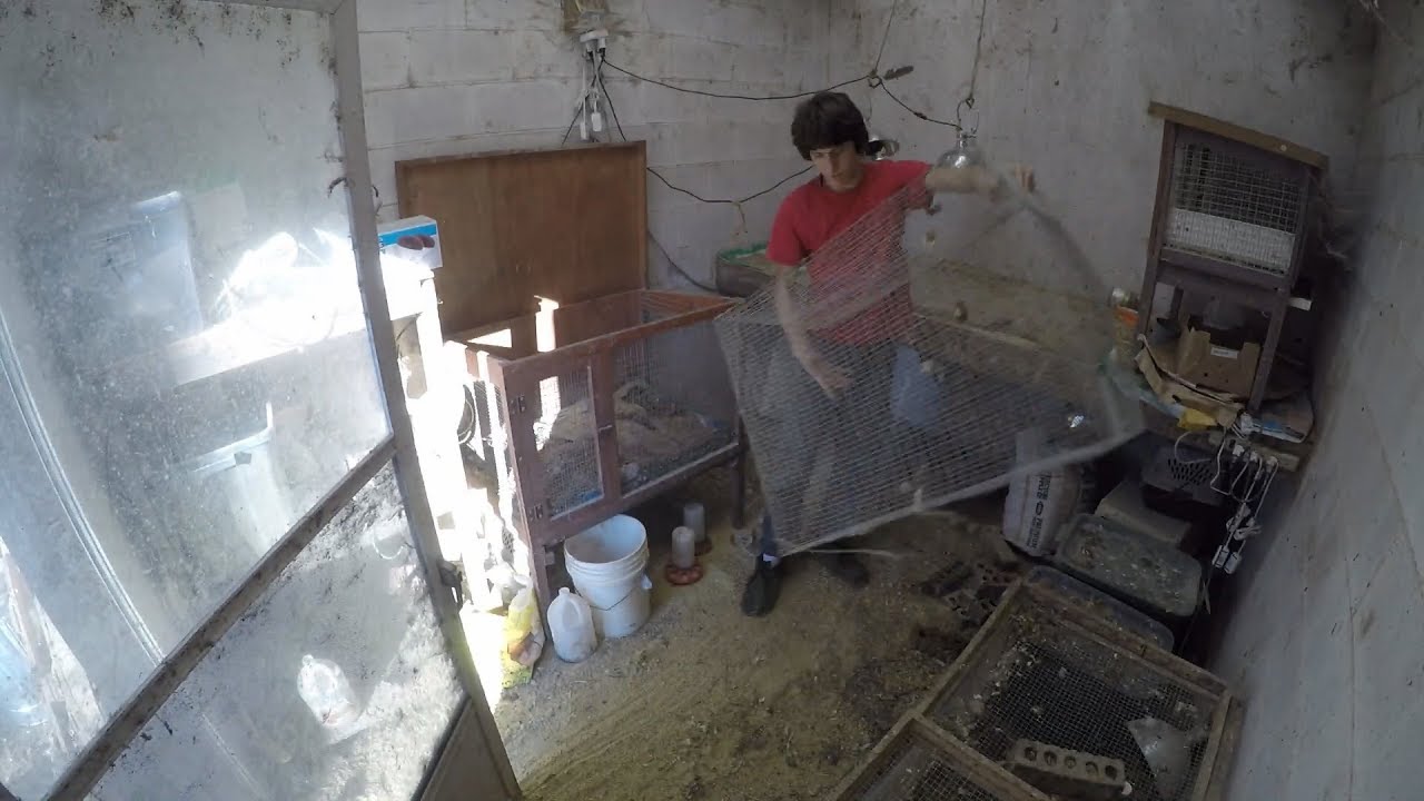 Winter Cleanup on the Farm - Time Lapse Compilation