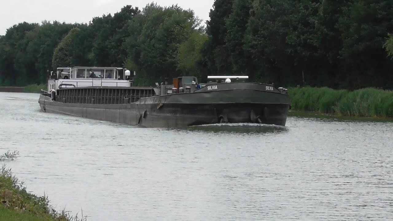 MS Silvia