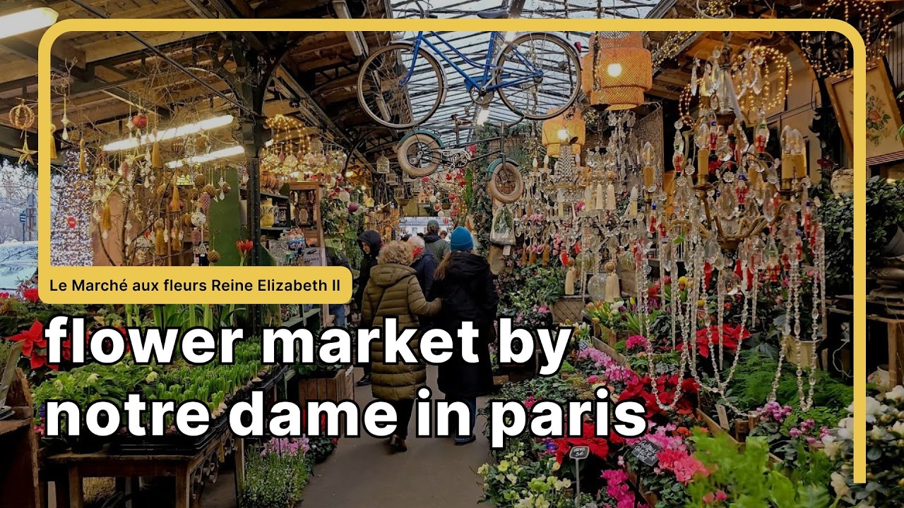 MUST_SEE Flower Market in Paris – Right by Notre-Dame | 4K Paris, France 🇫🇷