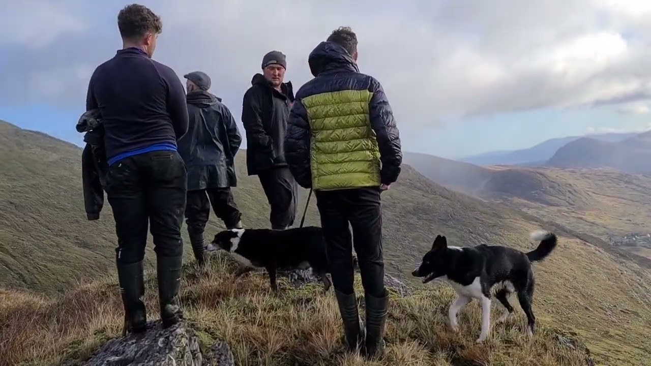 They frightened the life out of me on Carrauntoohill, the highest mountain in Ireland