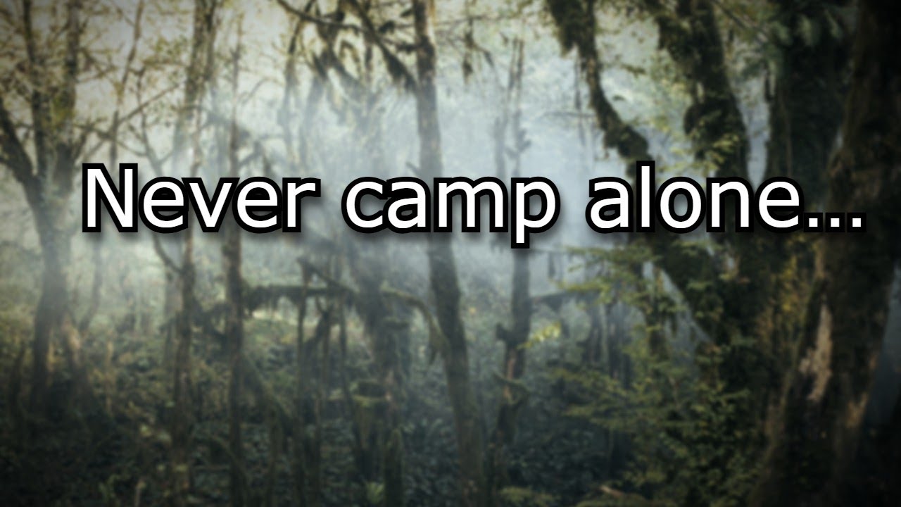 4 Real Forest Horror Stories That Will Make You Fear the Woods