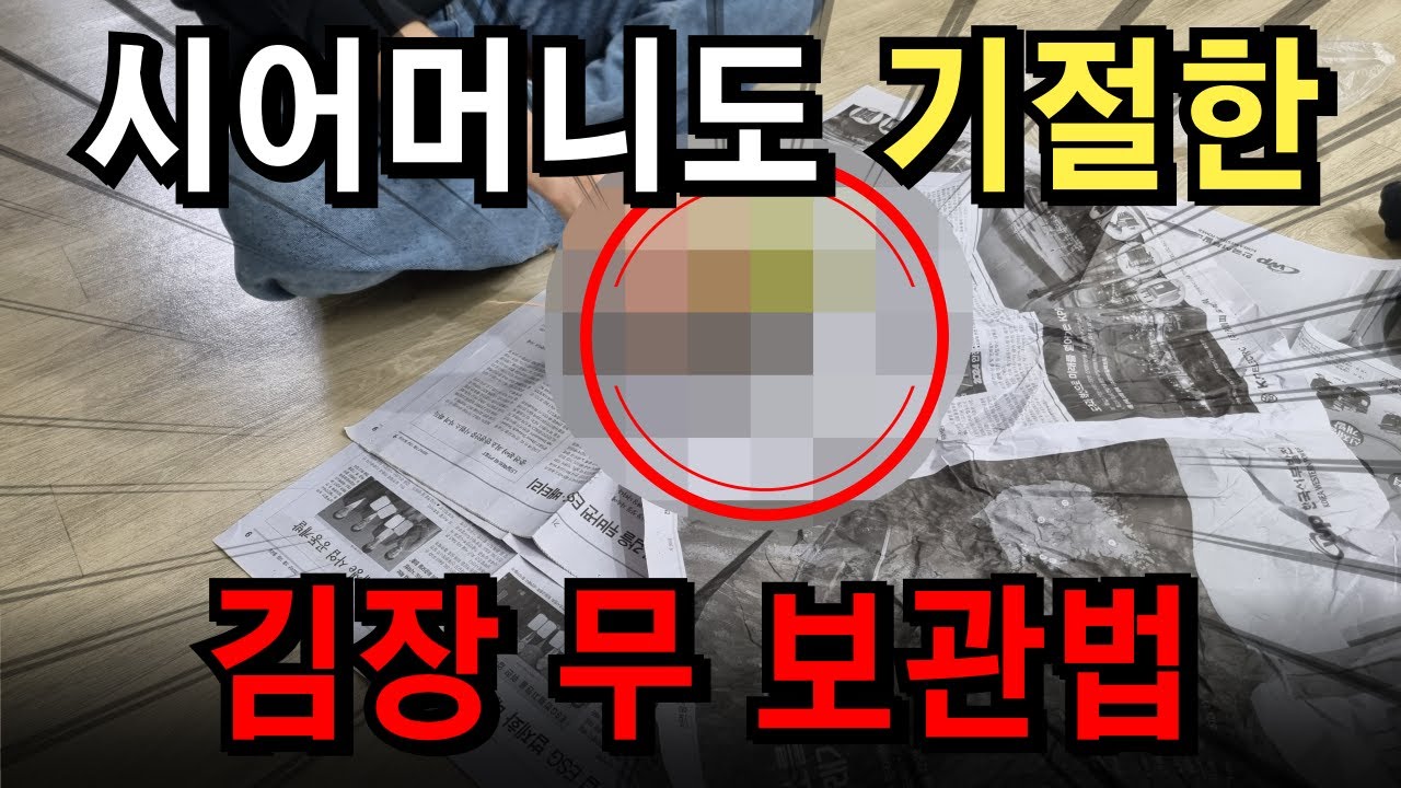시어머니도 기절한 김장무 보관법 '이렇게'만 하면 5개월 뒤에도 바람이 들지 않습니다