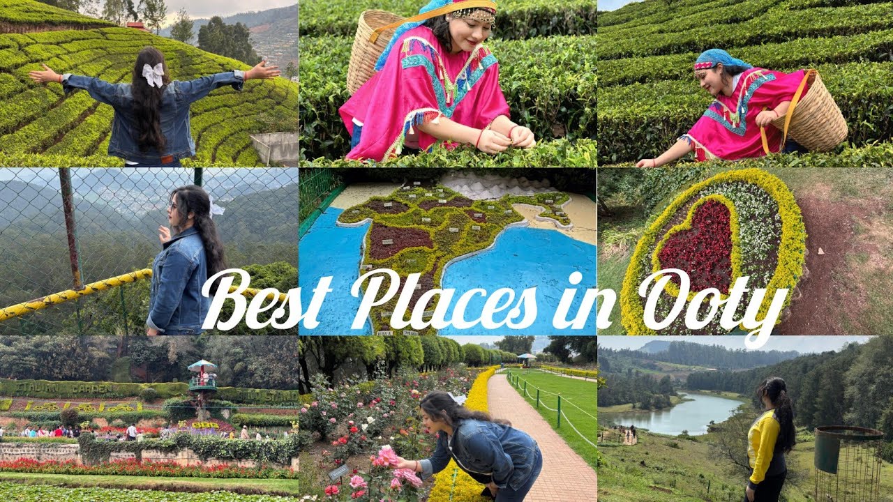 Ooty Diaries 🌿#ooty #ootyvlog#travelvlog#vloglife#hillstation#viralvideo#feed#naturelovers#nature 
