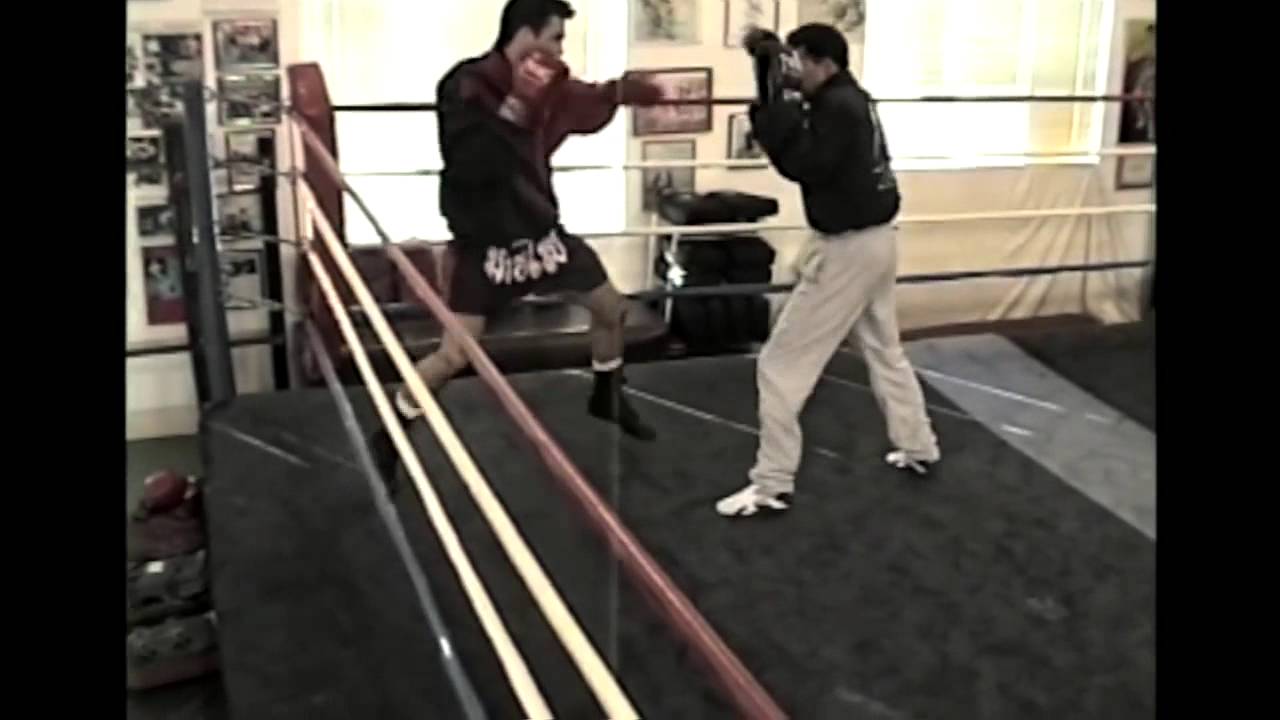 STXKICKBOXING Level 2 Sample