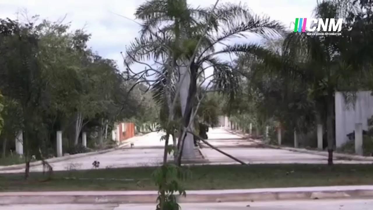 Transmisión en vivo de CANAL 8 QUINTANA ROO