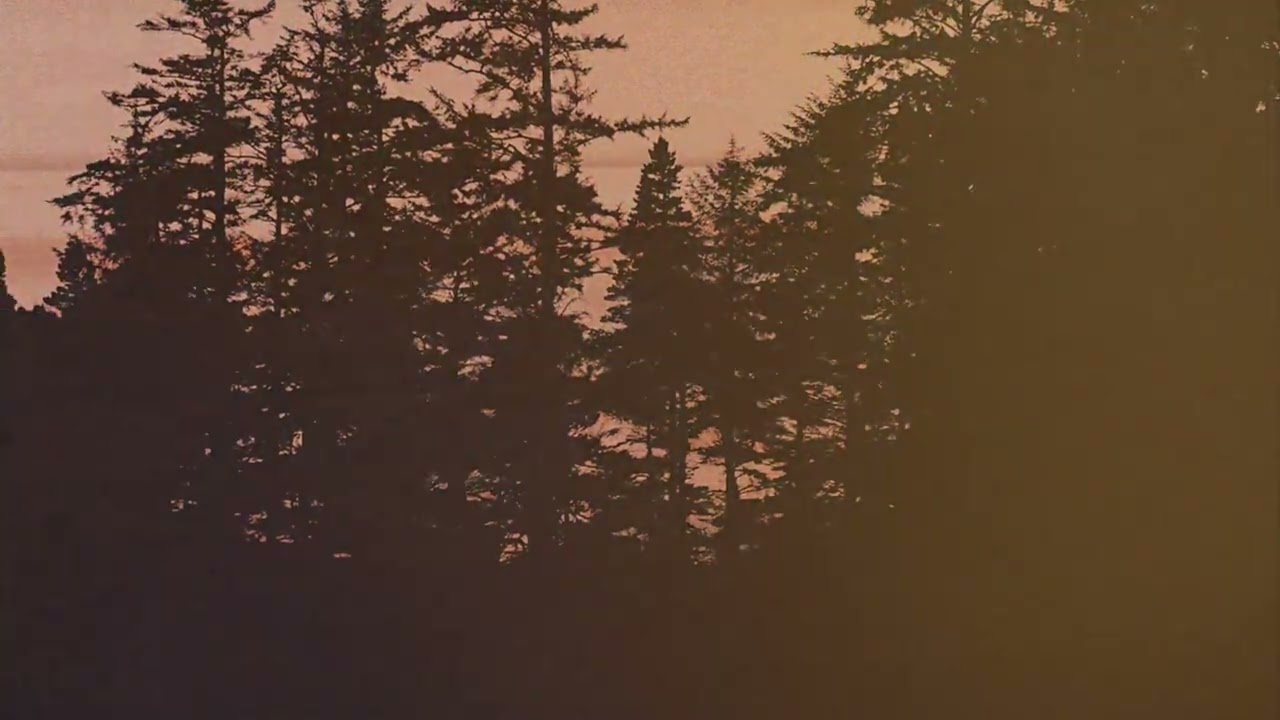 Blurstem &ndash; What You May Find (Visualizer)