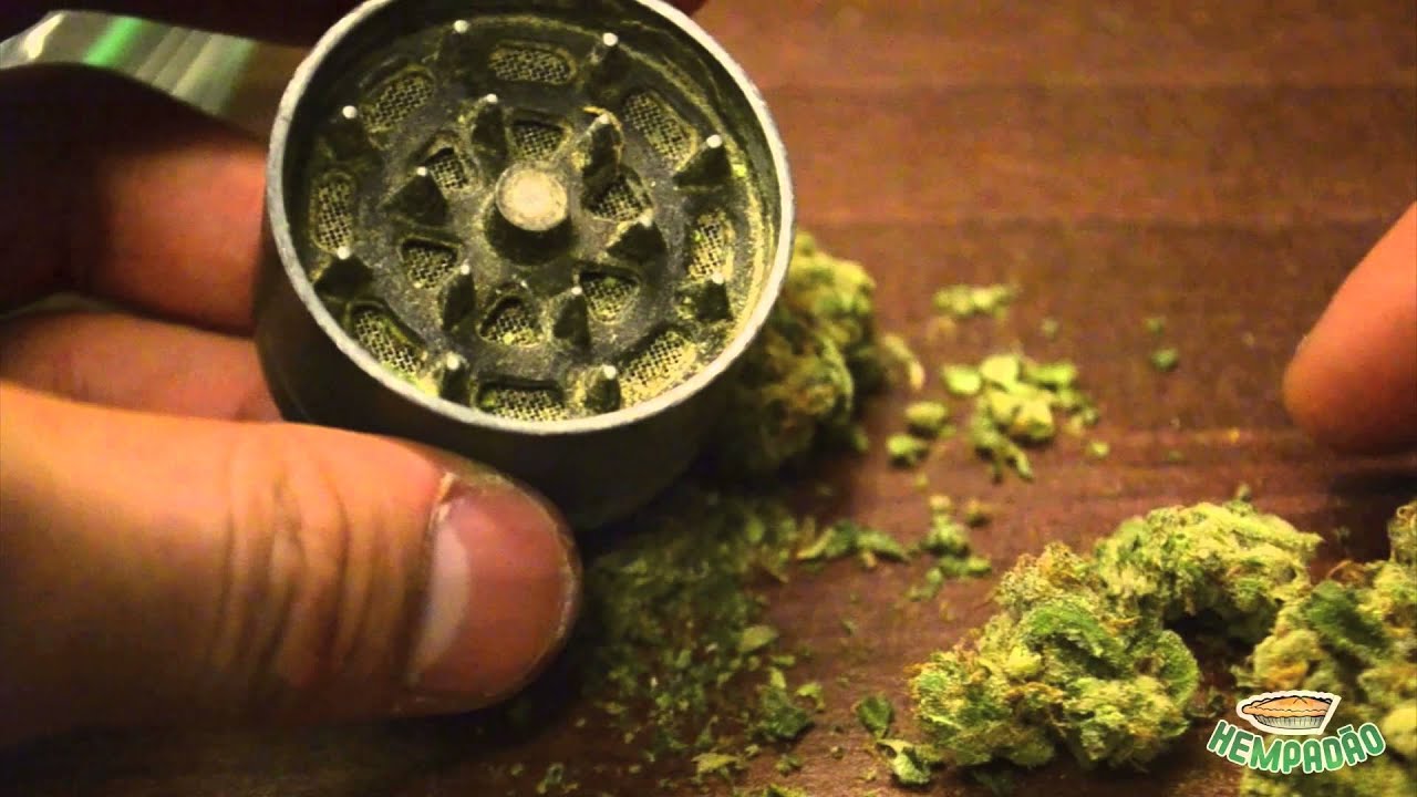 Northern Lights - Strain Review #7