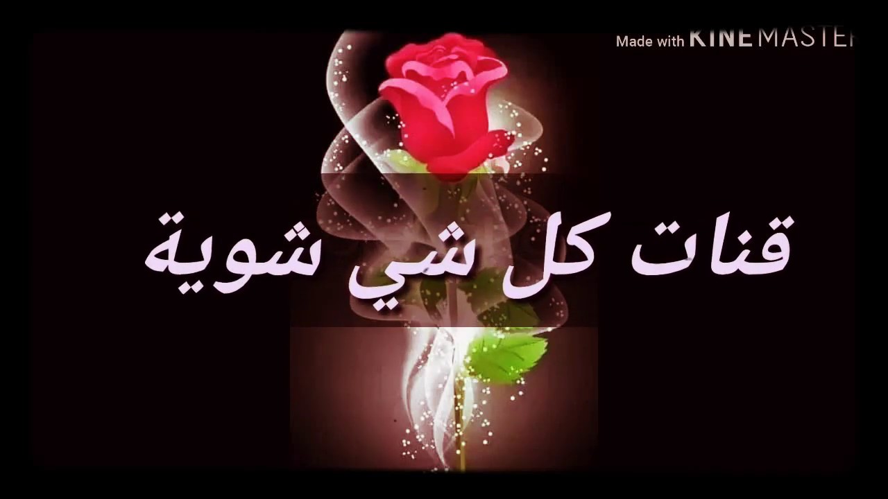أجمل حالات واتس اب🌹 2020‪ كلمة مصطفى الأغا🥰...... إتركهم لله كل من مددت إلهيم يدك ثم طعنوك