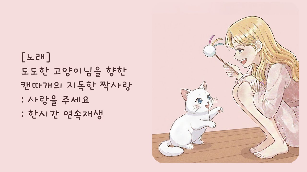 [노래] 도도한 고양이님을 향한 캔따개의 지독한 짝사랑: 사랑을 주세요: 한시간 연속재생