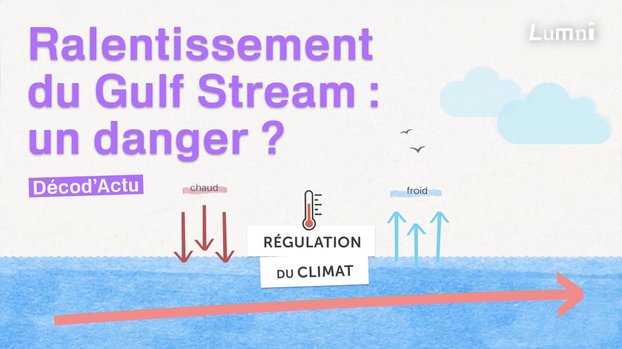 Ralentissement du Gulf Stream, un danger ? D&eacute;cod'Actu | Lumni