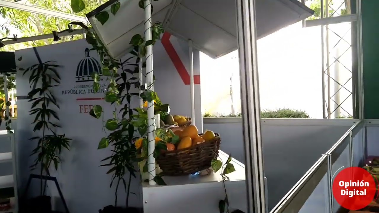 Expo Mango 2022